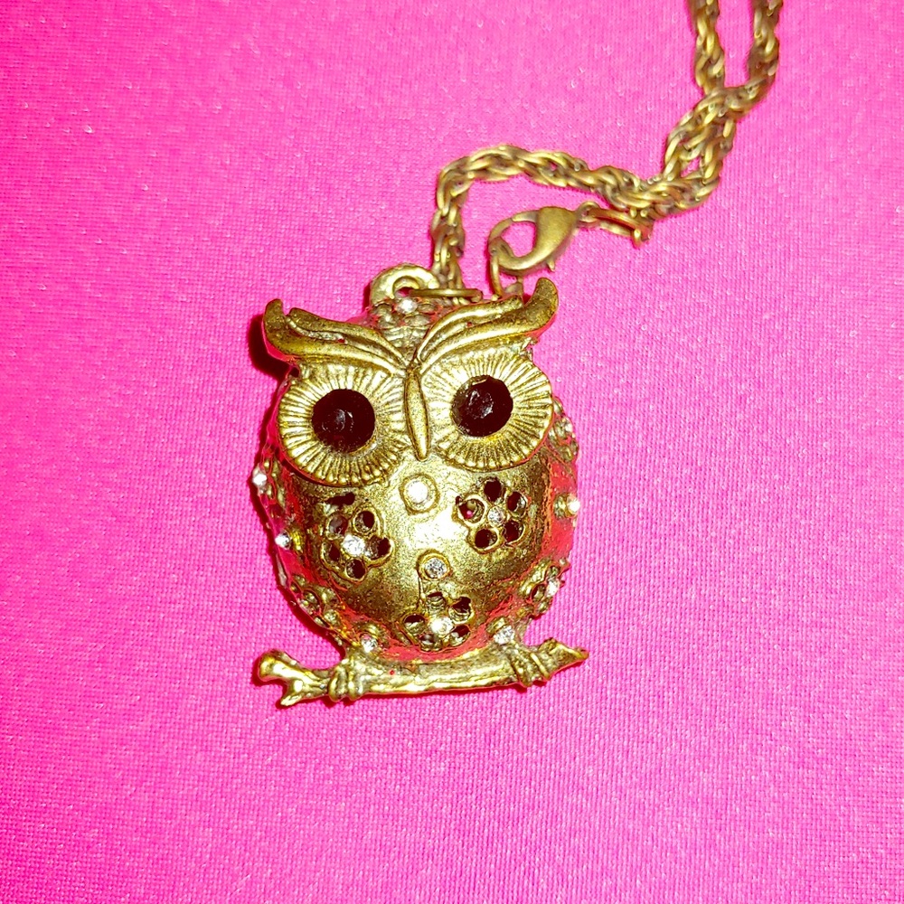 Cute Owl Bronze Plated Long Chain Necklace - Picture 2 of 5